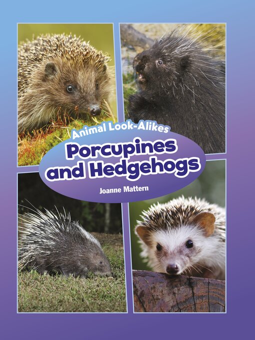 Title details for Porcupines and Hedgehogs by Joanne Mattern - Available